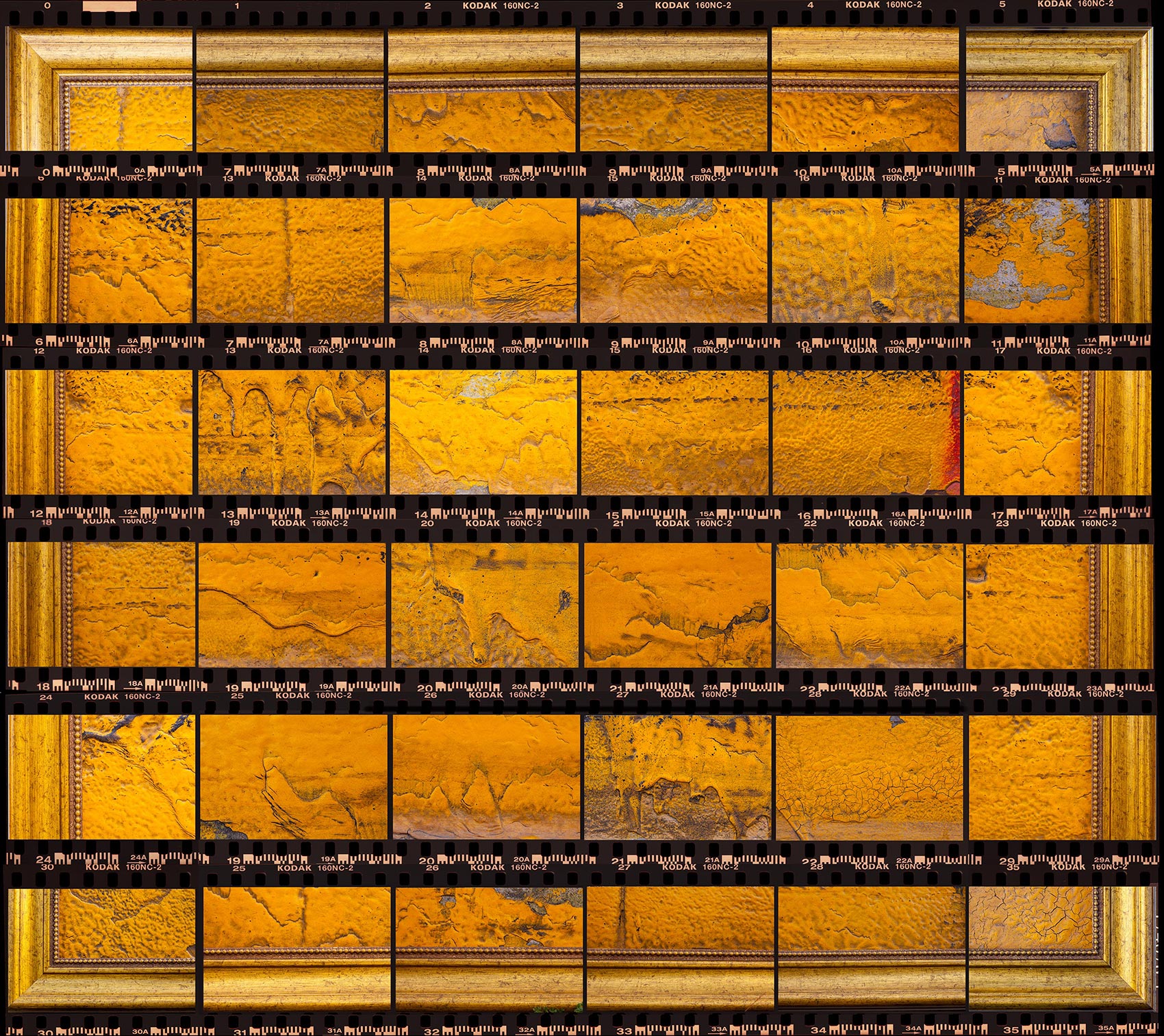 YELLOW STUDY